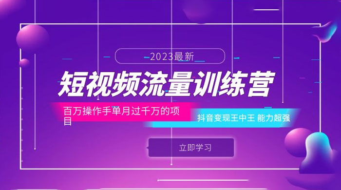 短视频流量训练营：百万操作手，抖音变现王中王，能力超强 - 项目资源网 - 项目资源网