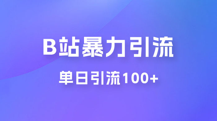 B 站暴力引流新玩法，单日引流 100+ - 项目资源网 - 项目资源网