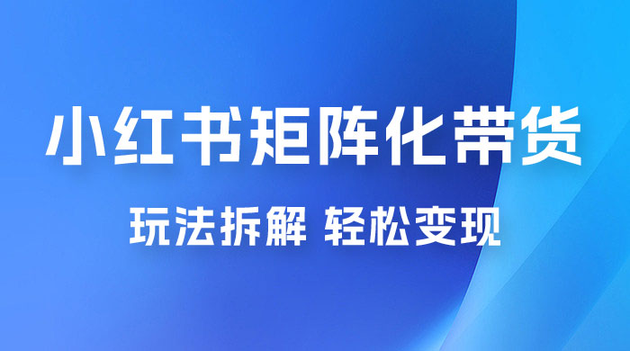小红书矩阵化带货玩法拆解，保姆级教程，详细拆解这套玩法 - 项目资源网 - 项目资源网