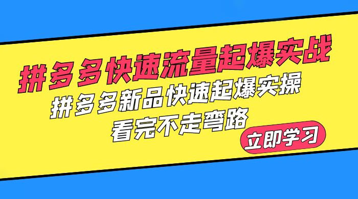 拼多多 · 快速流量起爆实战：拼多多新品快速起爆实操，看完不走弯路 - 项目资源网 - 项目资源网