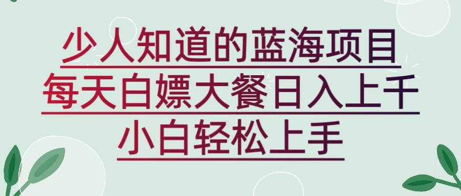 新蓝海长期项目，白嫖大餐日入上千，小白轻松上手 - 项目资源网 - 项目资源网