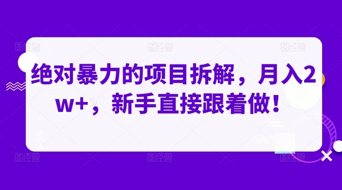 绝对暴力的项目拆解，月入 2w+，新手直接跟着做【揭秘】 - 项目资源网 - 项目资源网