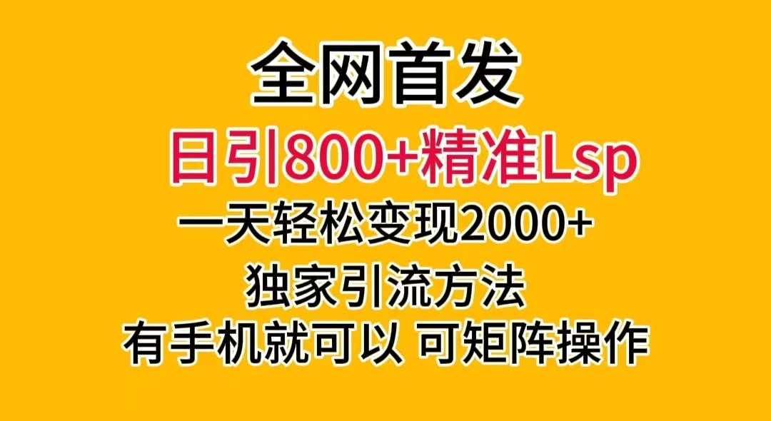 日引 800+ 精准老色批，一天变现 2000+，独家引流方法，可矩阵操作，月入 5W+ - 项目资源网 - 项目资源网