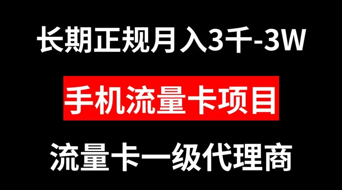 手机流量卡代理月入 3000-3w 长期正规项目 - 项目资源网 - 项目资源网