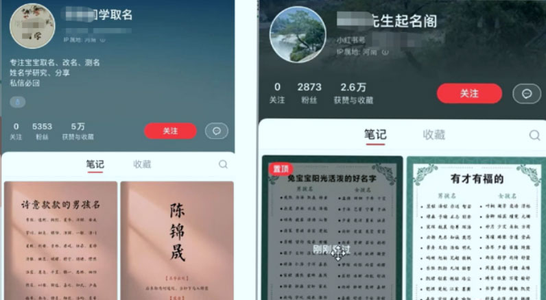 冷门暴利项目：给宝宝起名 一单 200+「教程+工具」 - 项目资源网 - 项目资源网