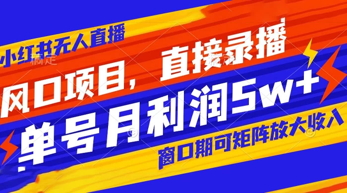 风口项目，小红书无人直播带货，直接录播，可矩阵，月入 5w+ - 项目资源网 - 项目资源网