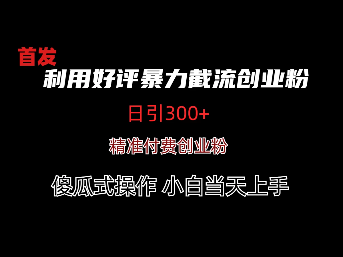 利用好评暴力截流付费创业粉，无需工具，简单且暴力的一个玩法 - 项目资源网 - 项目资源网