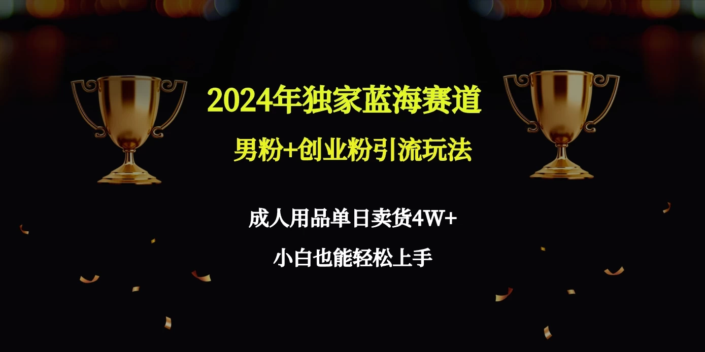 2024独家蓝海赛道，男粉＋创业粉引流玩法。 - 项目资源网 - 项目资源网